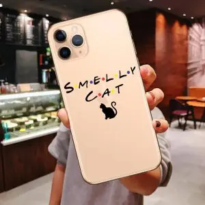 friends smelly cat phone case